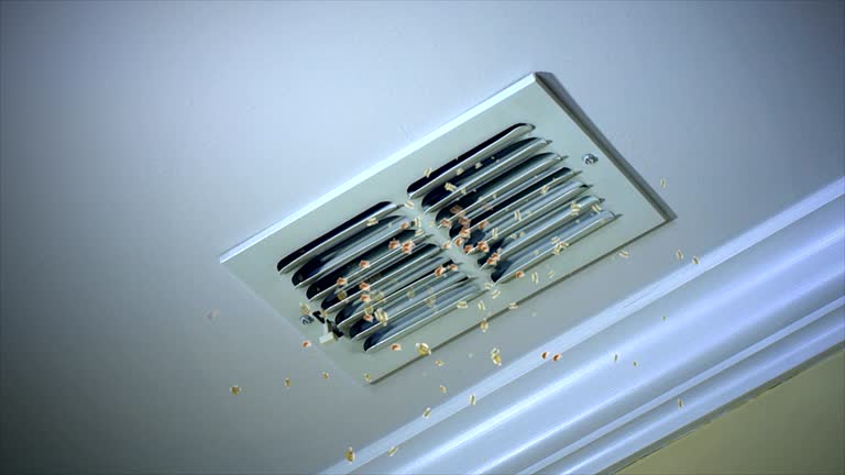 Best Affordable Duct Cleaning Services  in Stonybrook, PA